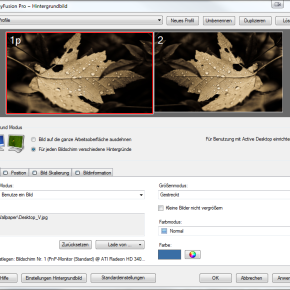 Dual Monitor Settings in Display Fusion
