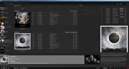 MusicBee-Ansicht-bei-gutem-MP3-tagging