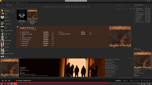 MusicBee-Layout-angepasst