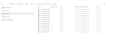 MusicBee-MP3-Dateien-nach-dem-Audio-CD-Rip-CD1