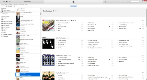 MusicBee-Title-Album-Layout-as-Itunes