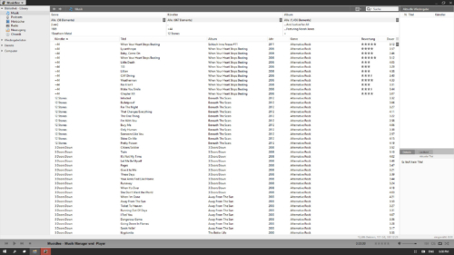 MusicBee-direkt-nach-der-Installation