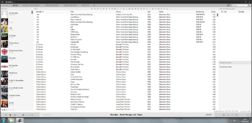 MusicBee-erster-Start-nach-erfolgreicher-Installation
