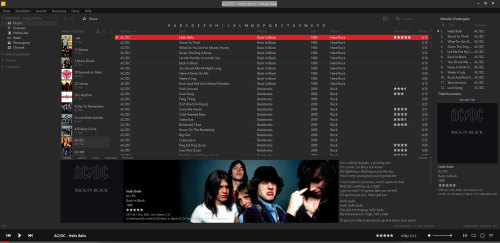 MusicBee-nach-Anpassung-der-Layout-1-Einstellungen