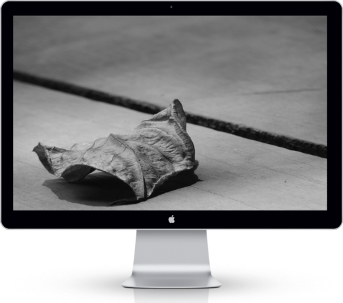 Wallpaper Of The Day #19