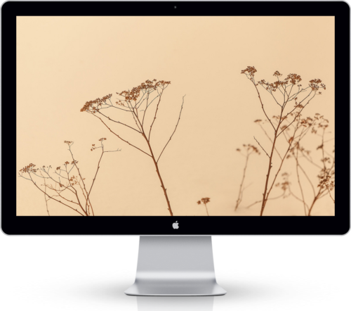 Wallpaper Of The Day 27