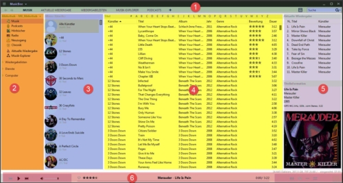 Die-MusicBee-Panels